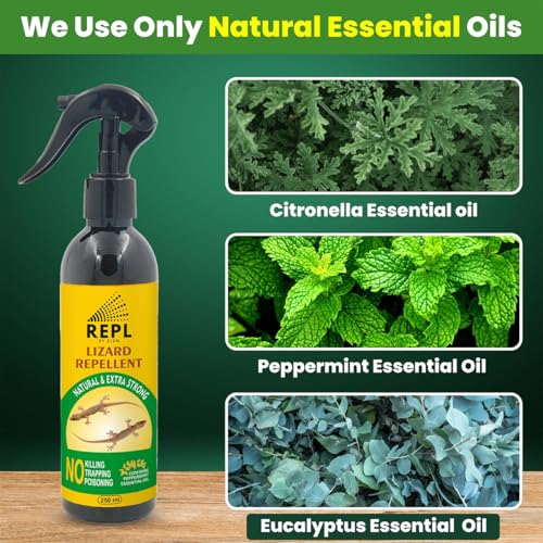 Image of Repl Lizard Repellent Spray(250ml*2) |Powerful Indoor & Outdoor Protection Up to 40 Days |Peppermint Oil Formula |Keeps Lizards Away Naturally |Safe for Kids, Pets & Family |Non-Toxic & Easy to Use (PACK OF 2)