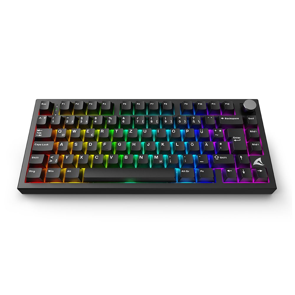 Sharkoon Skiller SGK55W, Kabellose Gaming Tastatur
