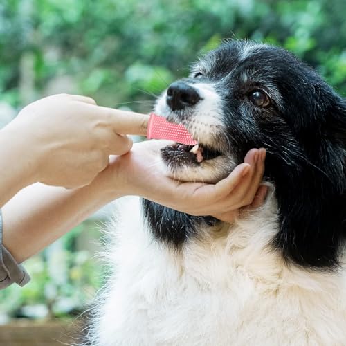 4 Stück Hundezahnbürste, 360º Pets Zähne Reinigung Zahnbürste, Fingerzahnbürste Hund Katze, Zahnbürste Hund, Für Hunde, Welpen, Katzen & Kleine Haustiere Zahnpflege(Blau, Rosa)