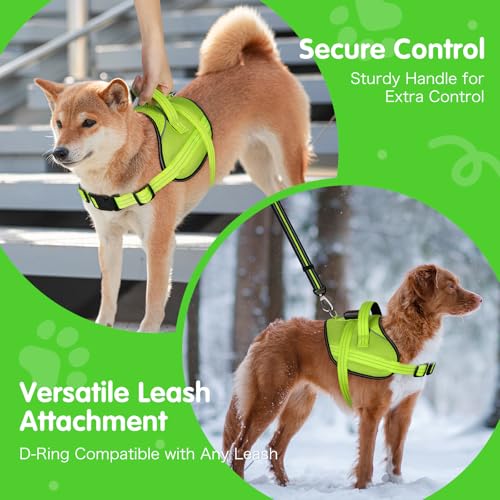 Light Up Hundegeschirr, No-Pull Led Hundegeschirr Wiederaufladbar, Reflektierend Leuchtgeschirr für Hunde, Einstellbar & Komfort Gepolstert für Sicherheit beim Nachtspaziergang (Grün, L)