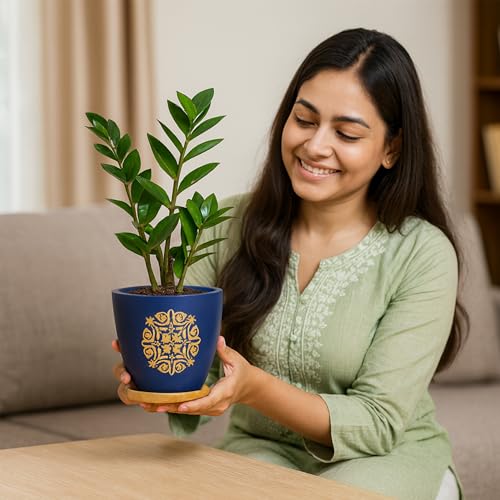Image of Urban Plant Terracotta Pot with Wooden Saucer - Trendy Planter for Modern Home & Garden Spaces (Motif Terracotta Pot - Blue)