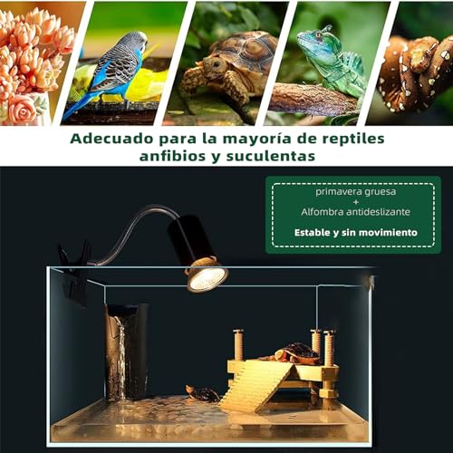 El mejor review de Lampara rayos uva - cinco favoritos. 15 Imagen adicional