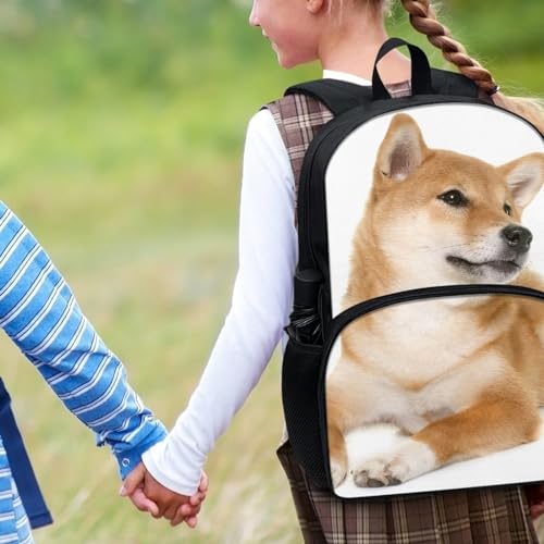 Shiba Inu Brown Backpack for Kids Teens School Bookbag Lightweight Casual Daypack Backpack4
