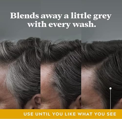 Just for men Control GX, Grey Reducing 2-in-1 Shampoo & Conditioner für graues Haar, neue verbesserte Formel – alle Farbtöne, 118 ml - 2er Pack