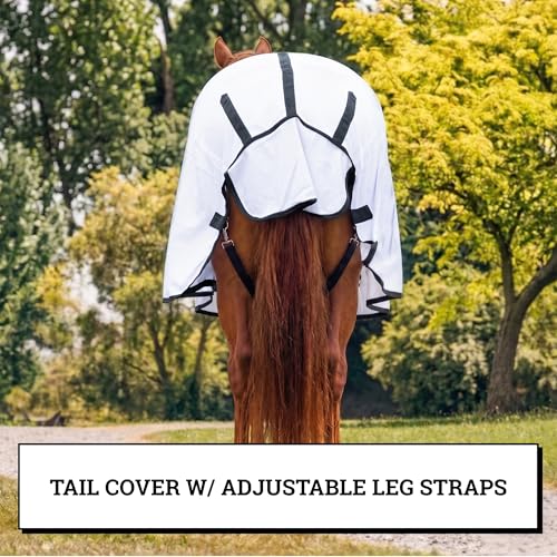 Image of Horse Fly Sheet with Attached Neck Cover & Tail Flap | UV Protection Mesh Horse Blanket, Full Body Bug & Sun Shield, Buckles, Belly Wrap & Gussets for Spring Summer Riding Rug (White, 76 inch)