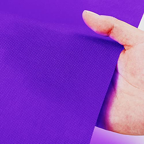 Carpet Runner Runway Rug 55Gsm Thickness With 1 Piece Carpet Tape For Wedding Christmas Xmas Thanksgiving Outdoor Accessories, Wedding Party Hallway Rug(Purple, 4 X 30 Feet) #TOP3