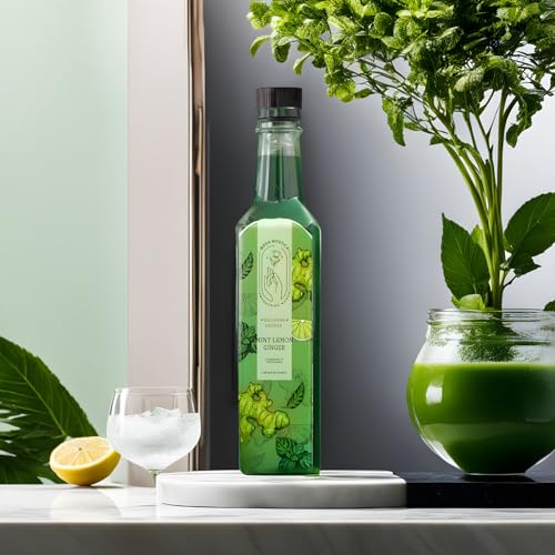 Image of Rosa Mystica Mint Squash| Natural Refreshing Mint Lemon Ginger Squash, No Added Color - 1 ltr