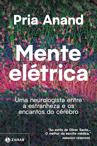 Mente elétrica: uma neurologista entre a estranheza e os encantos do cérebro