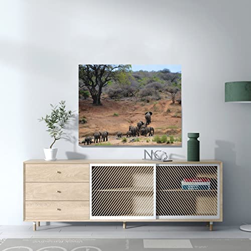Affiche Éléphant d'Afrique poster savane pour salon chaleureux