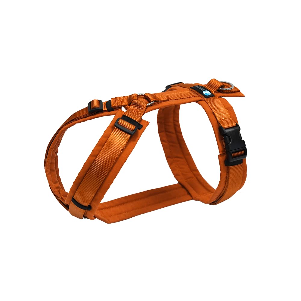 Anny-X Brustgeschirr Fun Ahorn | Hundegeschirr Größe L (Brustumfang 70-86 cm)