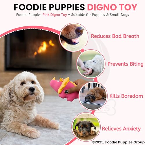 Image of Foodie Puppies Dog Squeaky Chew Latex Rubber Toy - (Pink Digno) for Small Dogs & Puppies | Durable, Soft, Animal Design, Fetch & Chew Safe Play Toy | Reduce Separation Anxiety
