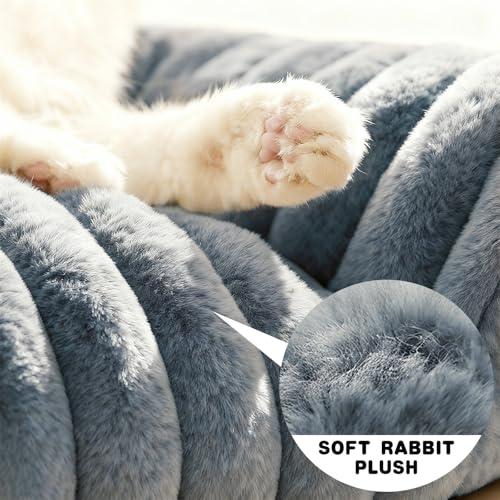 CAIEJSAEN Katzenbett Flauschig, Hundekorb Waschbar, Hundesofa Kleines Katzenkorb für Hunde und Katzen, Hundebett Grau, 60x45x20cm