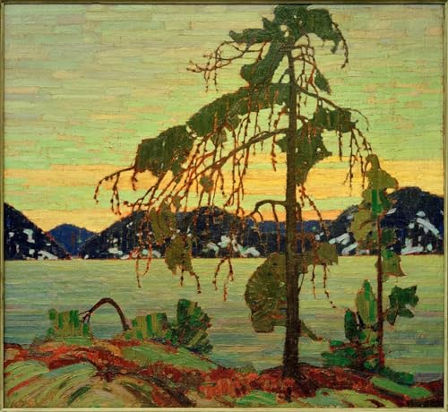 Tableau Jack Pine par Tom Thomson impression sur toile 60x90cm pour la décoration du salon