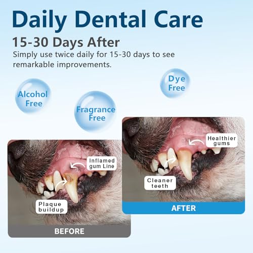 Dog-Teeth-Cleaning-Wipes-Dog-Dental-Wipes-for-Dog-Tooth-Pet-Dental-Finger-Wipes-for-Dogs-Cats-Reduces-Plaque-Freshens-Breath-50-count - Cucciolini Doodles   Dog-Teeth-Cleaning-Wipes-Dog-Dental-Wipes-for-Dog-Tooth-Pet-Dental-Finger-Wipes-for-Dogs-Cats-Reduces-Plaque-Freshens-Breath-50-count