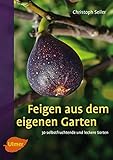  Feigen aus dem eigenen Garten: 30 selbstfruchtende und leckere Sorten