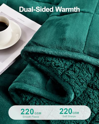 Super Fuzzy Soft Sherpa Fleece Weighted Blanket, 15 lbs Dual Sided Fluffy Heavy Weighted Blankets for Adults - No Bunching with Double Layers of Soft Inner Lining (48"x 72", 15 Pounds)