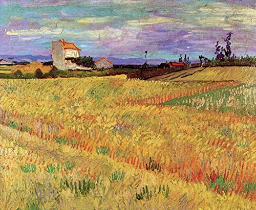 Pinturas sobre lienzo, 10 famosas pinturas al óleo, campo de trigo Vincent van Gogh, paisaje postimpresionista -06, £70-£1500 pintado a mano por profesores de las Academias de Arte