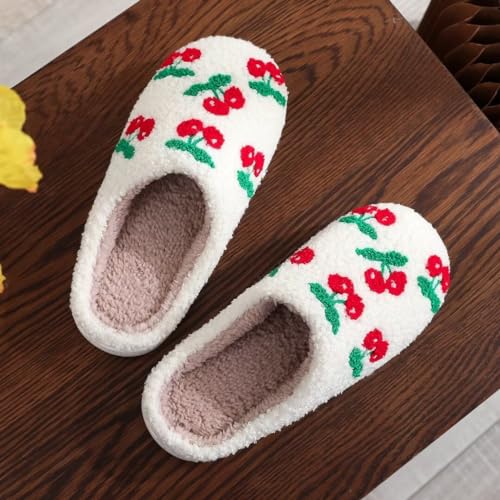 Funny Fuzzy Slippers for Women Cozy Embroidered Retro Comfy Warm Soft Slippers Slip-on House Bedroom Cotton Slippers for Her Couples Mother's Day Valentines Gifts3
