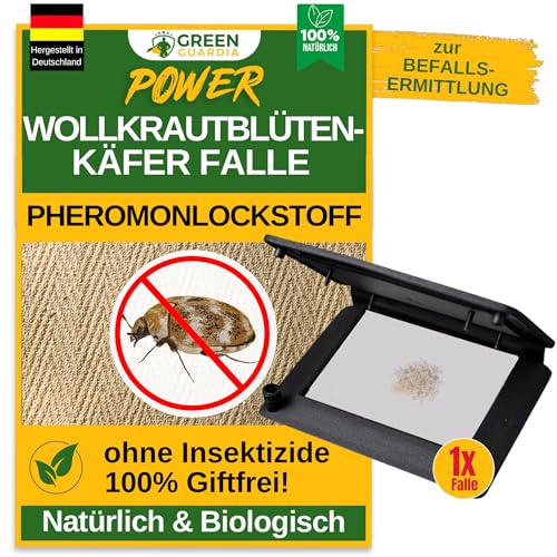 GREEN GUARDIA Wollkrautblütenkäfer Falle mit Pheromon-Lockstoff - 1x Falle - umweltfreundlich Wollkrautblütenkäfer bekämpfen, Chemiefreie Pheromonfalle mit austauschbaren Klebeflächen,giftfrei