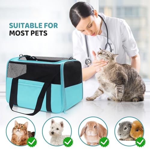 Image of JUNGYOUN Premium ​Cat Carrier - ​Pet Carrier for Cat & Small Dogs up to 15lbs - ​Airline Approved Travel Dog Carrier with Anti-Escape Zippers, Collapsible Travel Bowl & Padded Strap