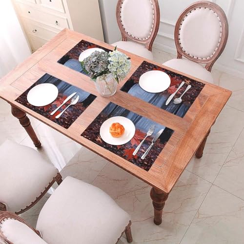 Sets de table en PVC 30x45 cm lavables et résistants pour la table - 8