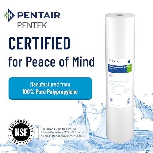 Pentair Big Blue Filter Design