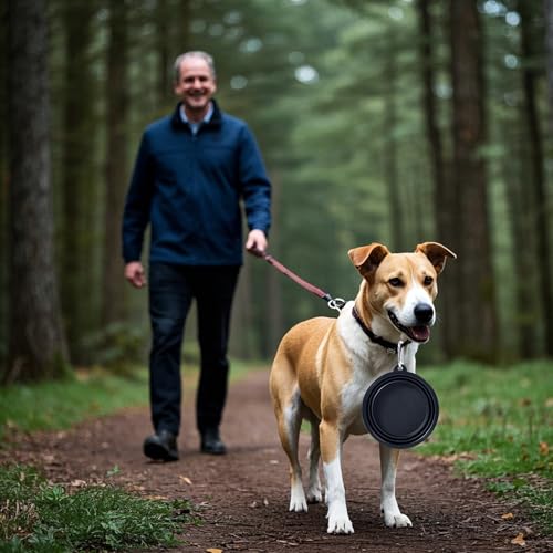 Image of Dog Bowl Pet Collapsible Bowls, 2 Pack Collapsible Dog Water Bowls for Cats Dogs, Portable Pet Feeding Watering Dish for Walking Parking Traveling with 2 Carabiners (Black+Black, Medium)