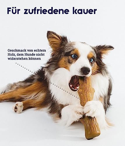Petstages Hundekaustock - Mesquite Dogwood Hundeknochen - natürlicher Holzgeschmack - Langlebige Kaustange, Kauholz und Kaffeeholz Alternative, Mittel