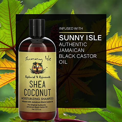 Sunny Isle Shea Coconut Moisturizing Shampoo Infused with Jamaican Black Castor Oil 12oz, 354.88 ml (Pack of 1) - Image 3