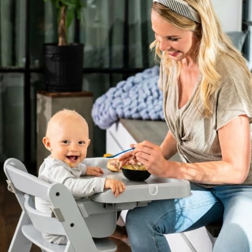 Image of hauck Alpha+ Grow Along Booster High Chair with Tray Table, Grey