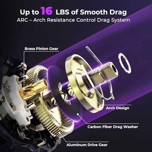 kastking royale legend pro baitcasting reels - automag dual braking system fishing reel arch resistance control 16 lbs carbon drag 55oz lightweight 801 gear ratio 11  1 stainless steel bb