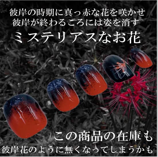 Amazon | 情熱の赤色ネイルセット ハンド フット用 チップ パッション