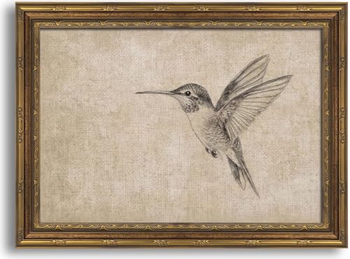 Image of Gold Framed 3D Textured Wall Art, Vintage Sketch Hummingbird Canvas Prints, Minimalist Neutral Birds Pictures Decor, Antique Naturalist Specimen Painting Artwork for Living Room Bathroom 16x24 in