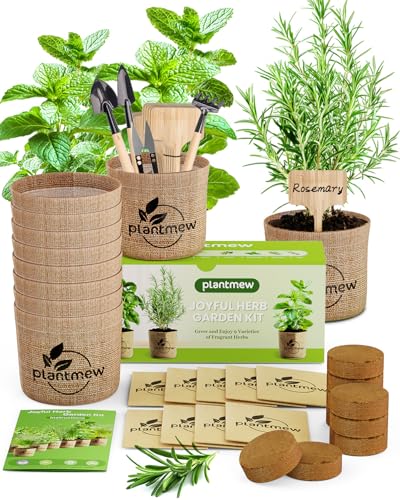 9 Herb Seeds Indoor Garden Kit - Non-GMO Basil, Mint, Parsley - G...