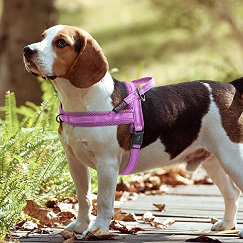 Didog No Pull Dog Harness With Soft Mesh Padded,Reflective & Quick Fit Light Weight Dog Strap Vest Harness,Easy For Walking Training For Small & Medium And Large Dogs(Purple,L) #TOP6