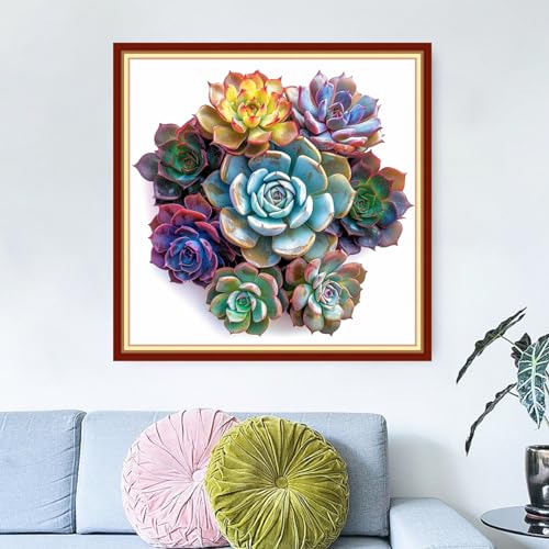Image of Dimensean Stamped Cross Stitch Kits Full Range of Embroidery Patterns Starter Kits for Beginners Adult DIY Cross Stitches Needlepoint Kits 11CT-Succulent Plants 18x18 inch