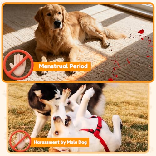 2 Pack Hündin Läufigkeitshose, Höschen für Hunde Läufigkeit, Schutzhose Hündin Waschbare, Hundehose Wiederverwendbare mit 10 Damenbinden, Verstellbare Hundewindeln für Hündinnen (XXL)