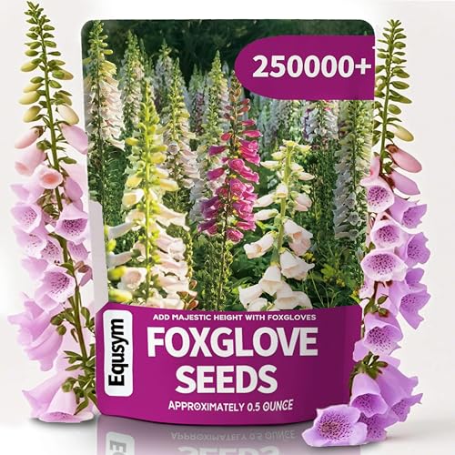 250,000+ Foxglove Seeds Bulk Pack - Tall Spire Blooms, Mixed
