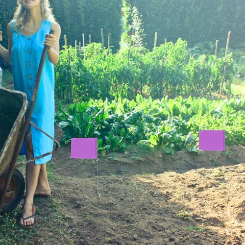 YARNOW 50 Stück Wahrzeichen-Flagge Landschaftsfahnen Rasenmarkierungsfahnen Markierungen für Einfahrtsflaggen Pflanzen Gartenfahnen Markierungen für Rasenfahnen Hofflaggen PVC Violett