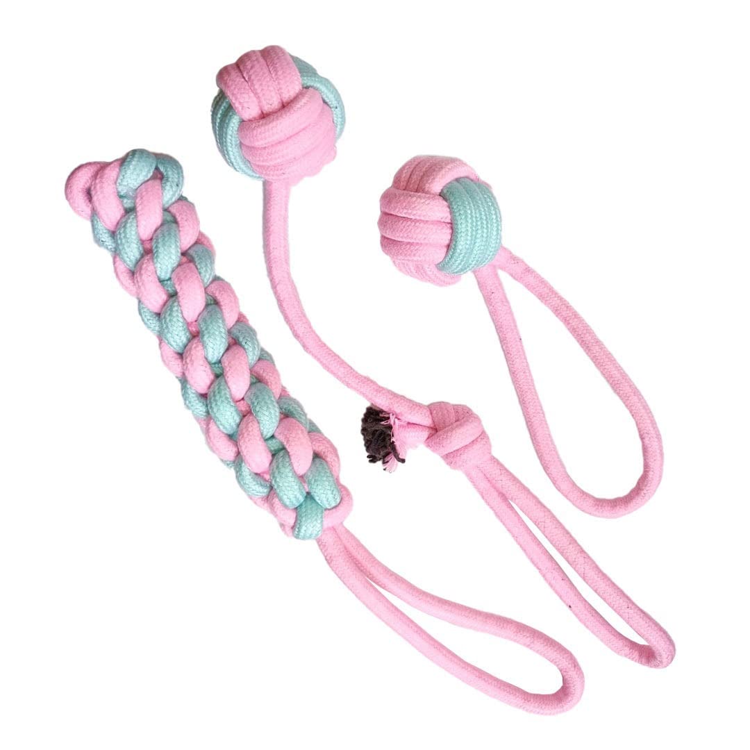 My Art Bucket Chew-able Interactive Rope Toy Dog/Cat Toy Multi Plush Cover (B09NKXSX81) Amazon Price History, Amazon Price Tracker