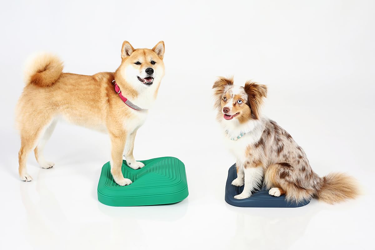 Togu Dynair® Animal Pad Misty Mountain - Hundetraining