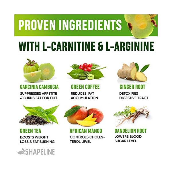 Weight Loss Drops - Appetite Suppressant for Women & Men - Made in The USA - Natural Metabolism Booster - Fast Weight Loss - Diet Drops with Garcinia Cambogia, L-Arginine & L-Glutamine 1 Fl oz