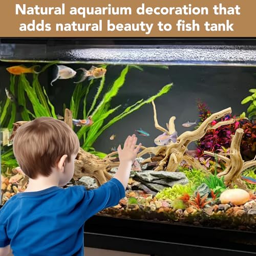 Image of Jorewood Natural Small Spiderwood Driftwood for Aquarium Decor Rptile Fish Tank Decoration Assort Branch 4-7'' 8 Pcs