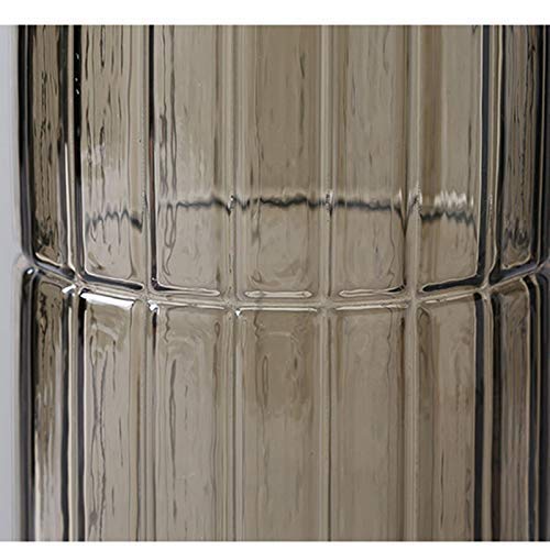 Vase en verre pour fleur et culture hydroponique sur table de salon