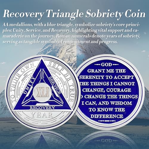 Image of Recovery Triangle 41 Year Sobriety Coin - Silver Roman Numeral NA AA Coins - 1-65 Prime NA /HA /AA Chips and Medallions - Narcotics Alcoholics Anonymous Sober Gifts for Men Women