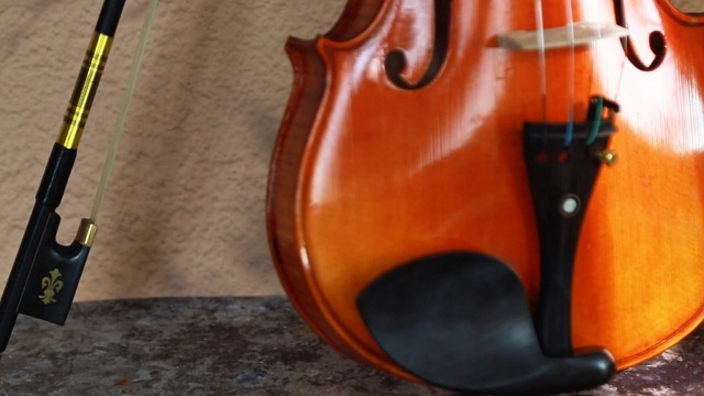 Amazon.com: AMZZ 4/4 Professional Carbon Fiber Violin Bow - Full