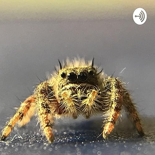 The Critter Keeper copertina