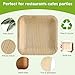 Didaey 150 Pieces 4 Inch Palm Leaf Square Bamboo Plates Disposable Wood Dinnerware Set Leaf Plates for Weddings Catering Events Birthday Summer Party 2