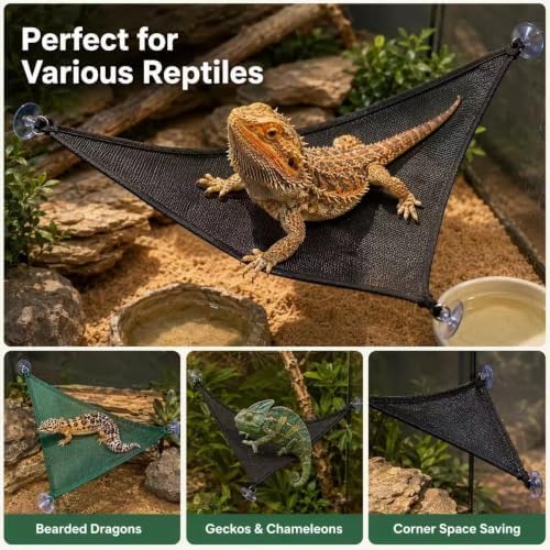 Bearded Dragon Reptile Hammock with Feeder Ball Cage Accessories — 사진 5