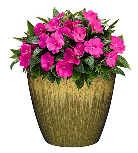 Classic Home & Garden Planter, Resin, Willow Green, 8 Inches - Image 3